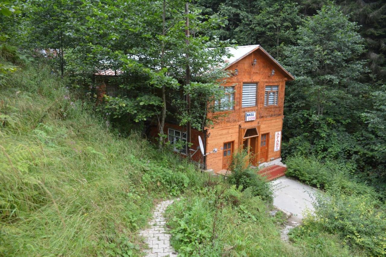 Ayder Nazli Cicek Apart Bagian luar foto