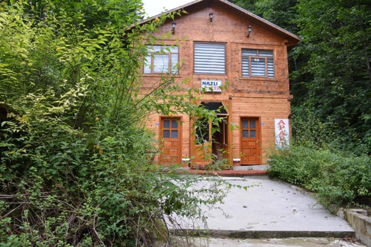 Ayder Nazli Cicek Apart Bagian luar foto